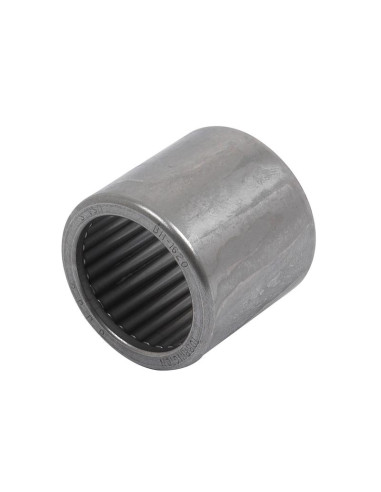 Sparex Rodamiento de agujas (BH1620)
