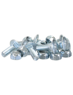 10mm x 30mm Grado 8.8 (Bolsa of 10) 2