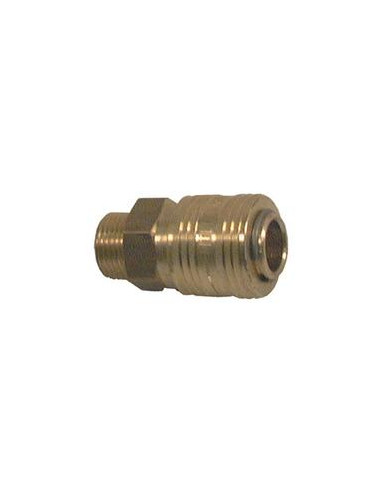 Hose coupling 1 / 4''