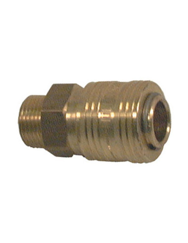 Hose coupling 1 / 4''