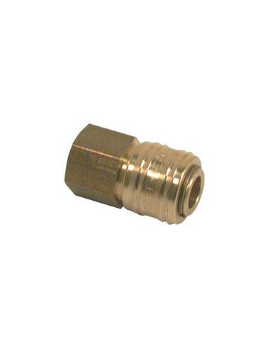 Hose coupling 1 / 4''