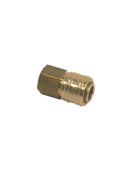 Hose coupling 1 / 4''