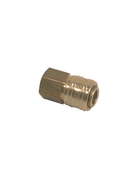 Hose coupling 3 / 8''