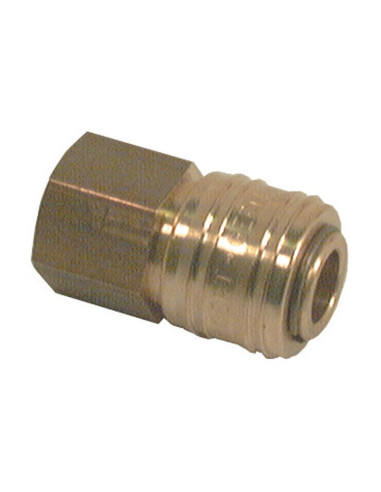 Hose coupling 3 / 8''