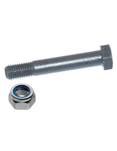 Tornillo - M16 x 100mm, Resistencia a la...