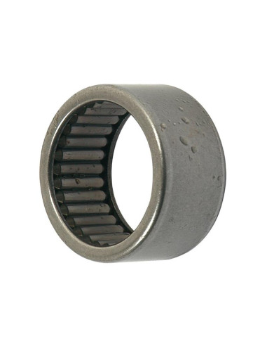 Sparex Rodamiento de agujas (DL3020)