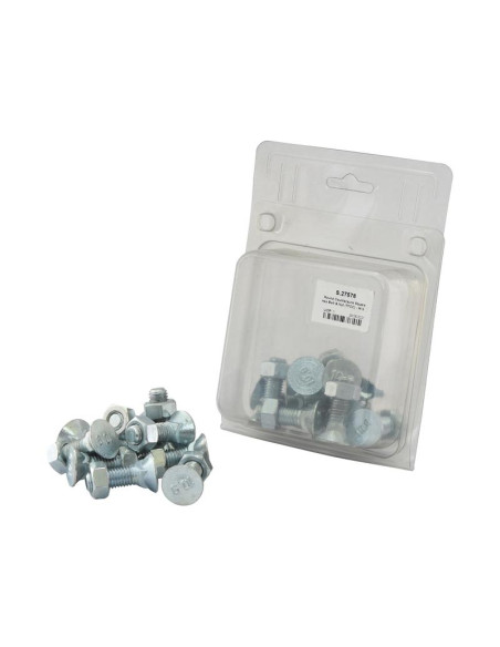 Tornillo Redondo Cuello Cuadrado - M12 x 40mm, Resistencia a la tracción 8.8 (10 pzas. Blister)