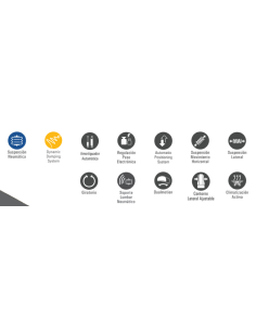 ASIENTO MAXIMO EVOLUTION DYNAMIC 2